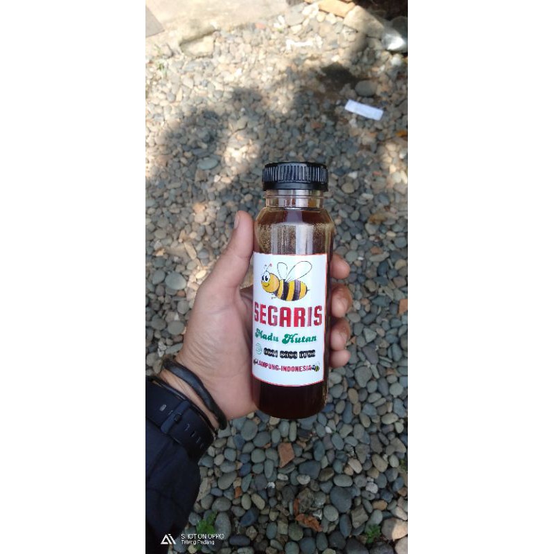 

SEGARIS MADU HUTAN