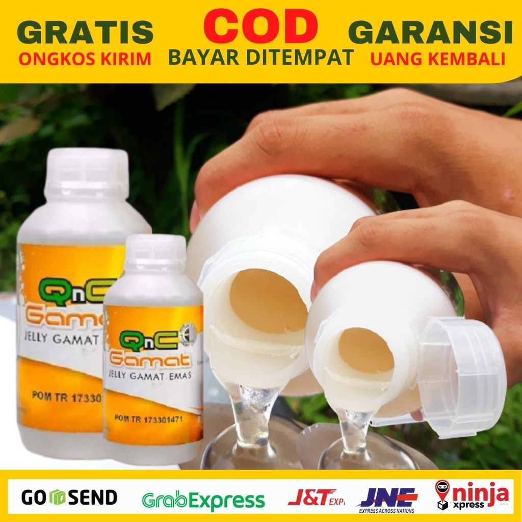 Obat Hepatitis B Untuk Ibu Hamil Obat Hepatitis B Untuk Ibu Menyusui AMAN 100% HERBAL ORIGINAL QnC