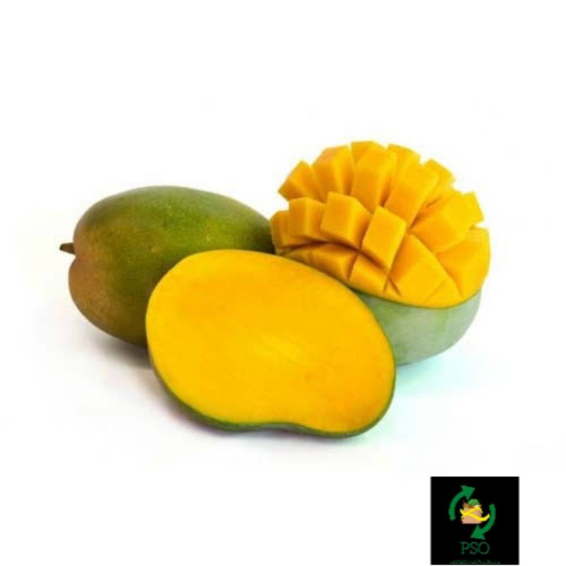 

MANGGA ARUMANIS /500GR
