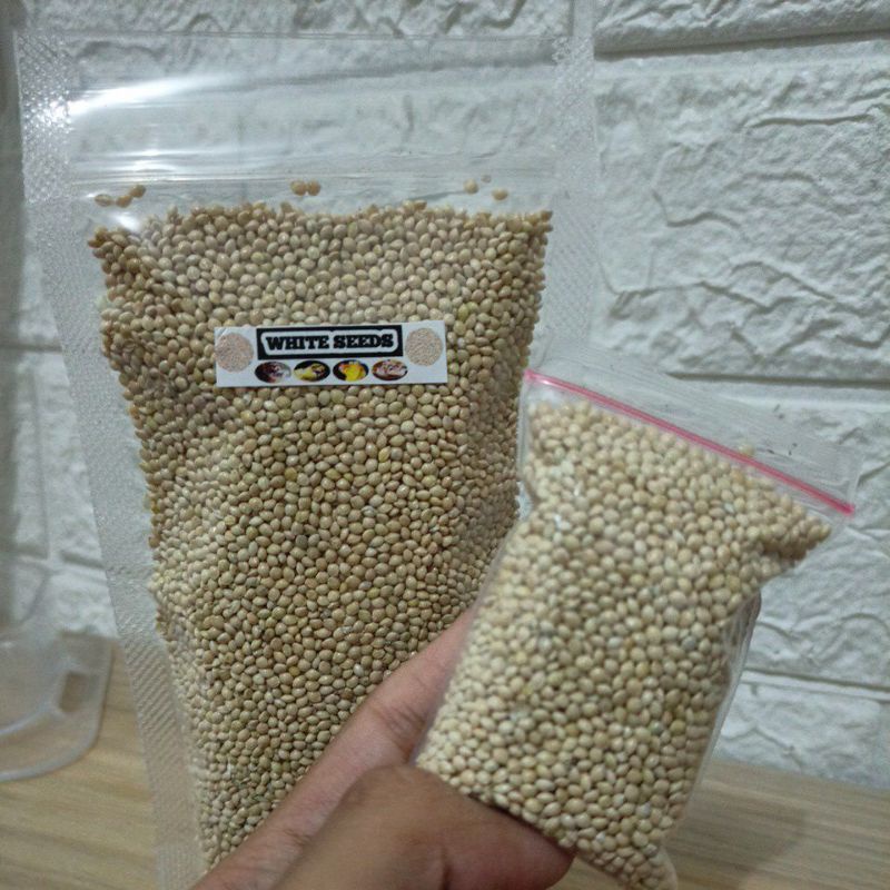 White Seed Milet Millet MINI Pack Biji Sehat Makanan Hamster, Burung dan penyuka biji-bijian Pakan Putih