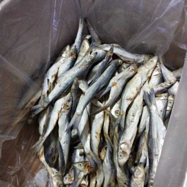 

Ikan asin japoh Rp 38000/kg