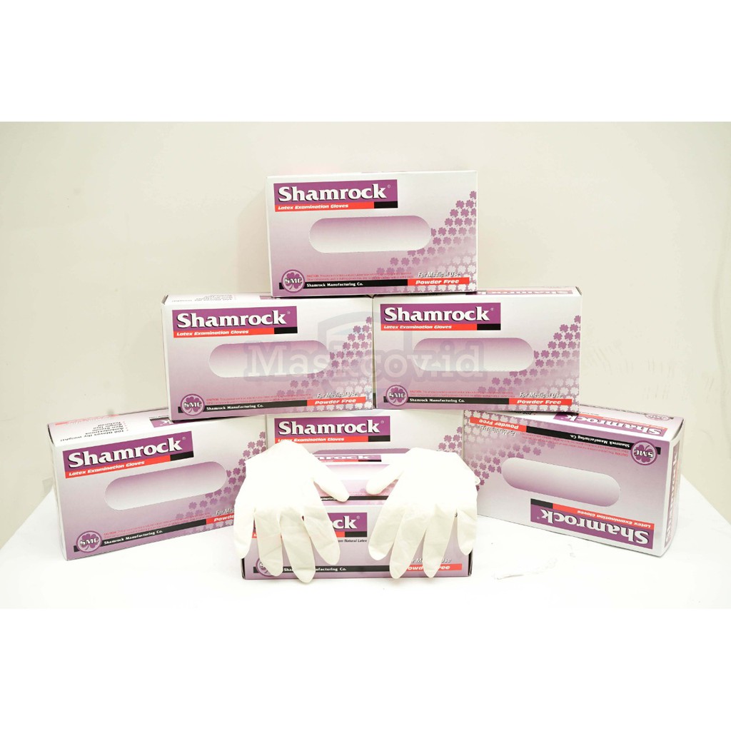 Sarung tangan Latex latek Shamrock Glove supreme free powder - L