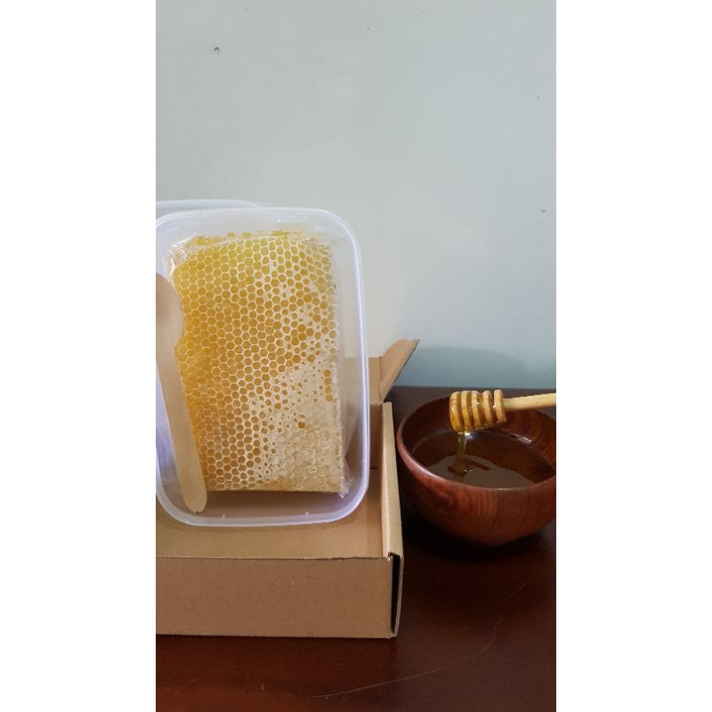 500Gr Dus Polos Sarang Madu Murni Asli Alami Melifera honeycomb