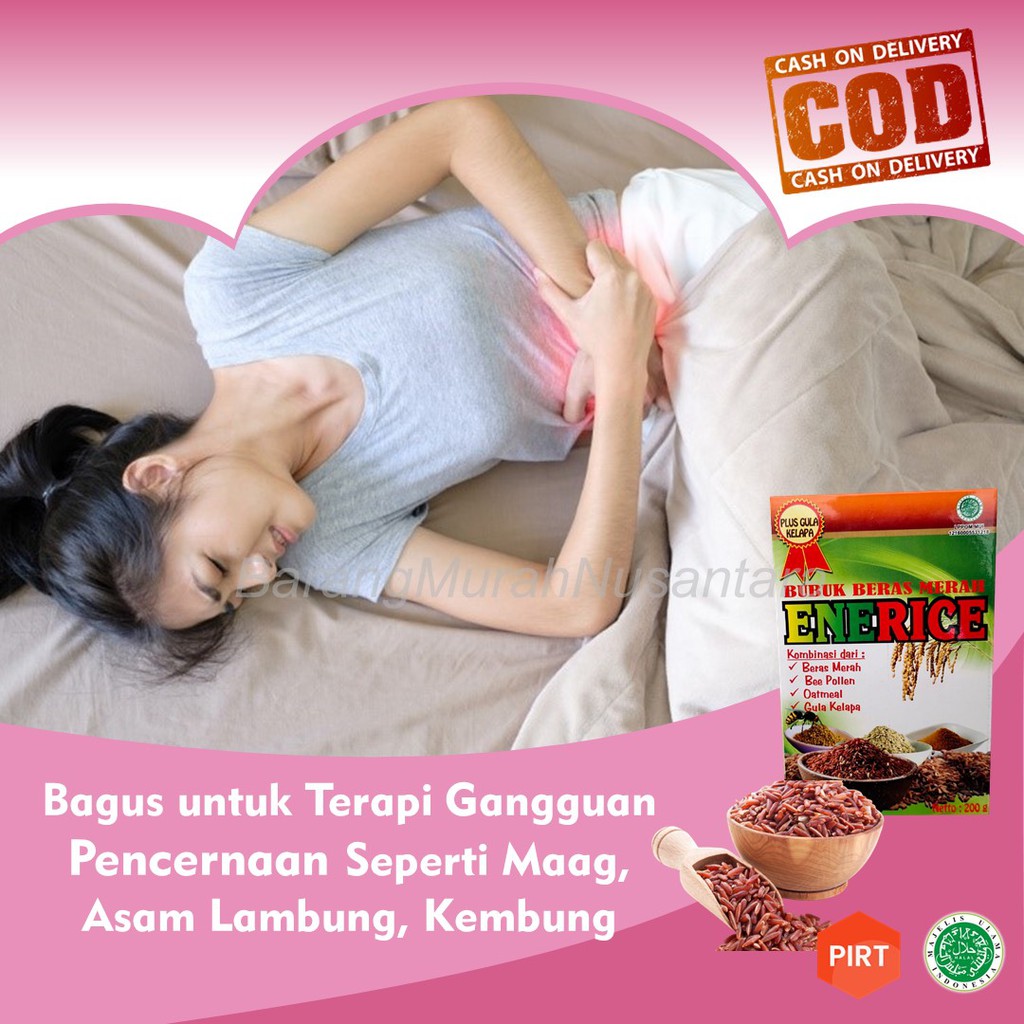 

Minuman Bubuk Beras Merah Instan ENERICE, Minuman Diet 200 gr, Plus Oatmeal Bee Pollen