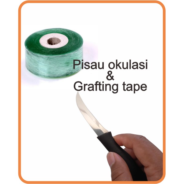 Pisau Okulasi Cangkok Sambung Pucuk + Grafting Tape