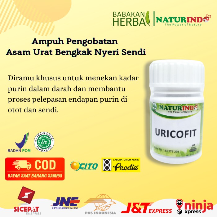

Ampuh Obat Herbal Naturindo Uricofit Spesial Pengobatan Asam Urat Bengkak Nyeri Sendi