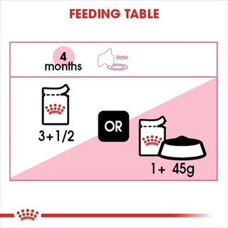 Royal Canin Kitten In Jelly Makanan Anak Kucing Wet 85gr ...
