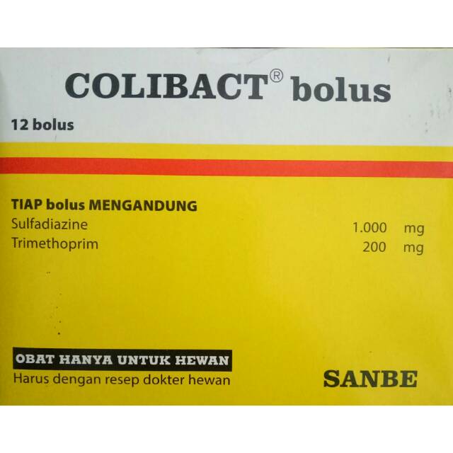 Colibact bolus