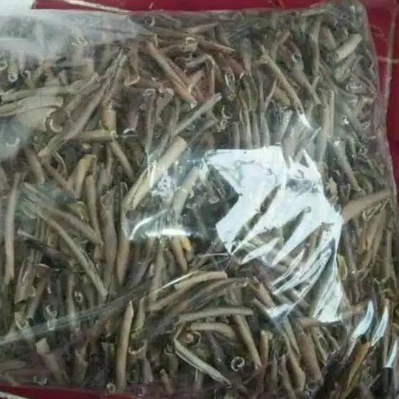 

Trend - 500gr 1/2kg Ampo Tanah Liat
