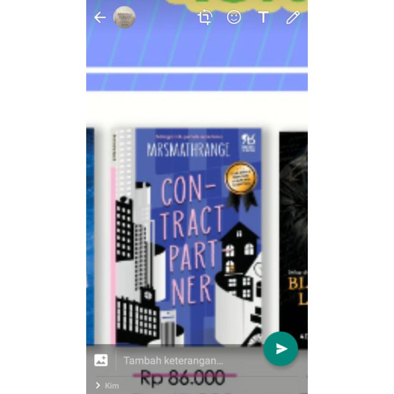 

contract partner novel