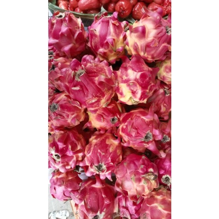 

BUAH NAGA FRESH 500GR