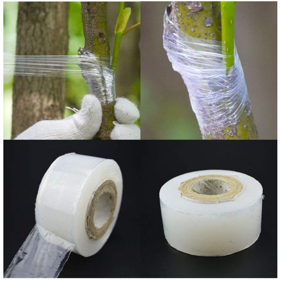 Grafting Tape Plastik Okulasi Sambung Pucuk Enten Ukuran 3 cm Putih