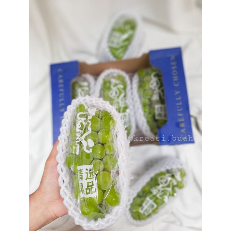 

shine muscat anggur hijau tanpa biji jepang