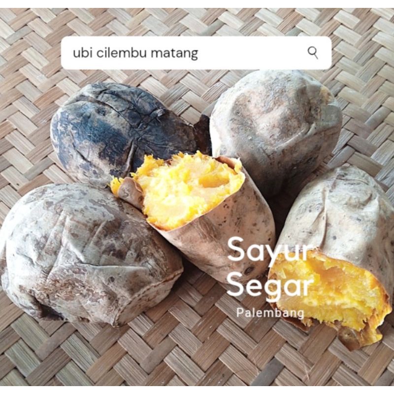 

Ubi Cilembu 1 Kg Sayur Segar Palembang