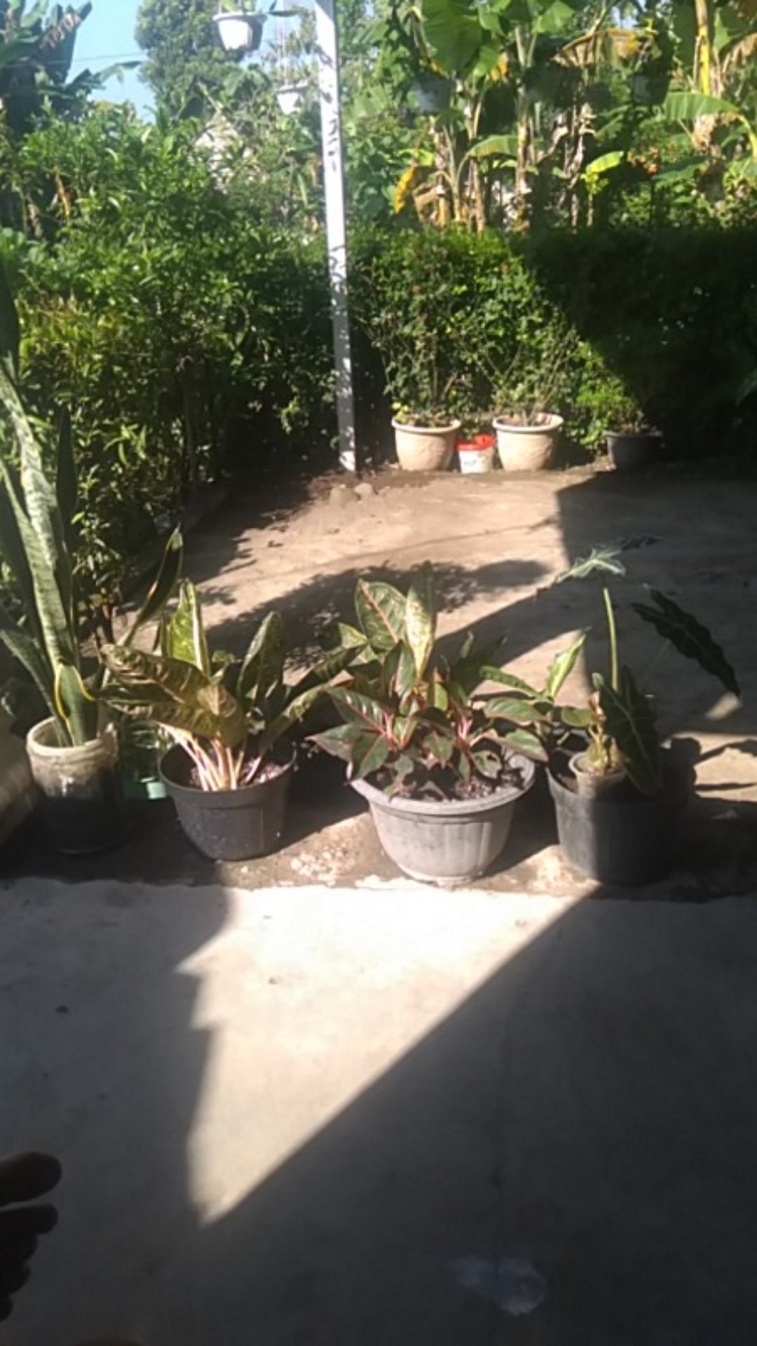 Jaring Paranet 65% Lebar 3 Meter