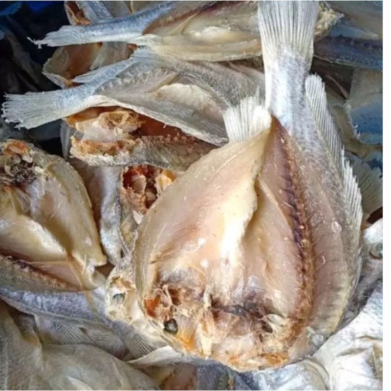 

Ikan Asin SAMGE BELAH kering; 1kg best selerr