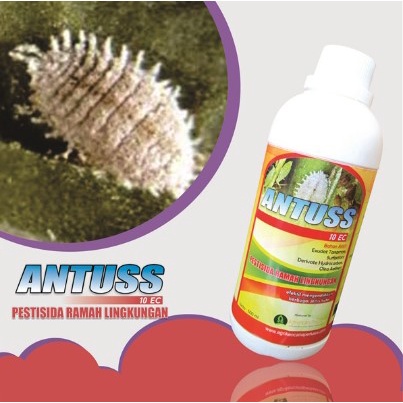 Pestisida Organik-Pembasmi Kutu Kebul-Kutu Apis-Kutu Putih-Kutu Hitam pada tanaman buah dan sayuran