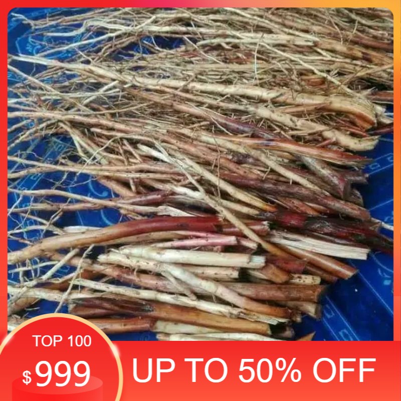 

[TERBAIK] Akar pinang segar 250Gram