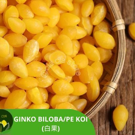 

[KODE LQ80T] Ginko biloba / ginko nut / pe kea / kupas fresh kering