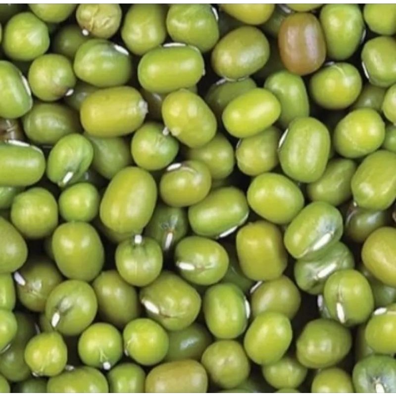 1kg Benih kacang hijau super