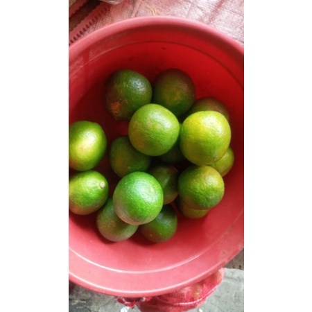 

jeruk nipis 500 gr