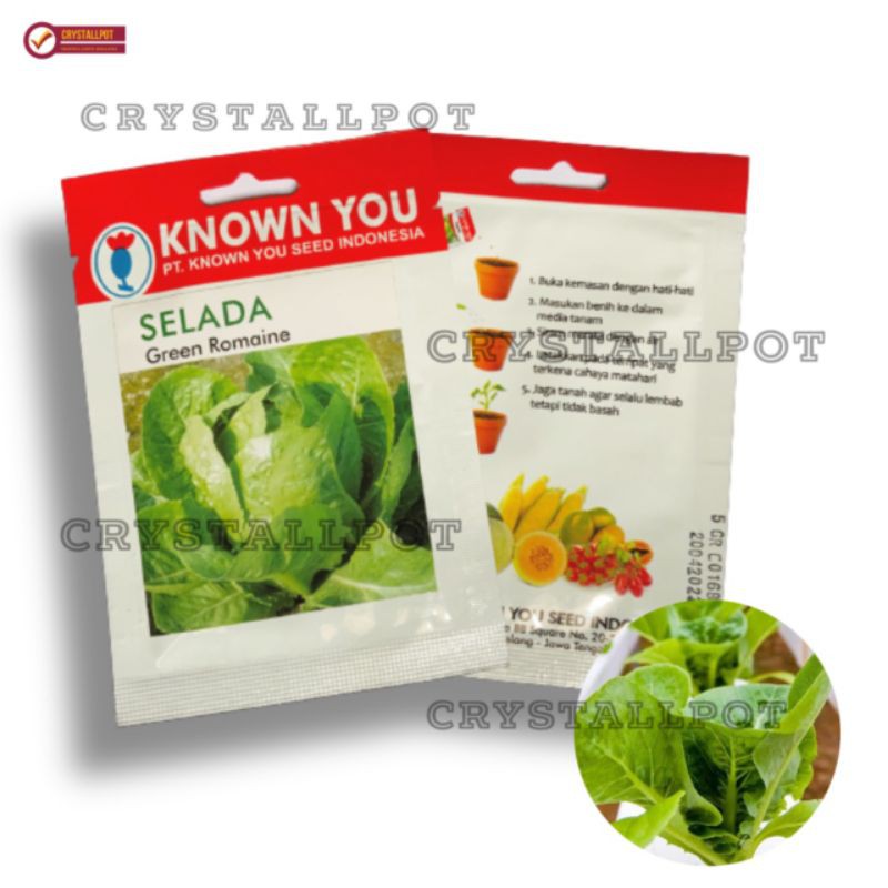 Jual Benih Bibit Selada Green Romaine Known You Seed Kys Green