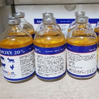 betamox la amoxy 100ml