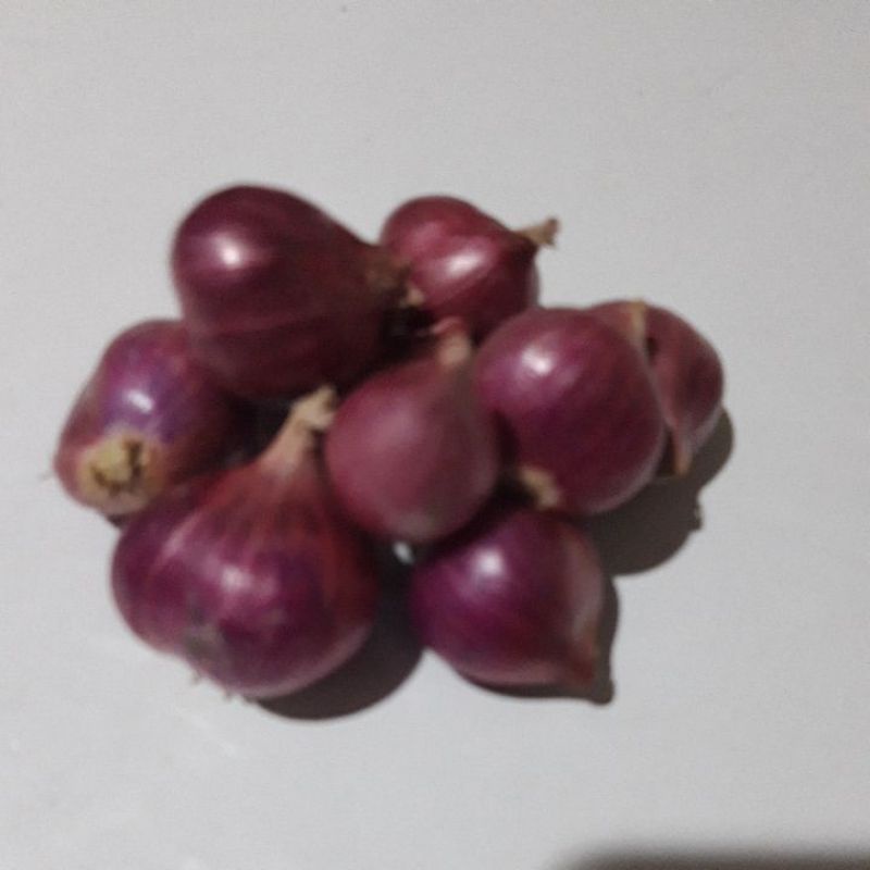 

Bawang Merah 500 Gram Promo