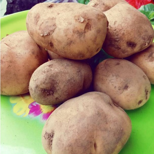 

Kentang 250 gram