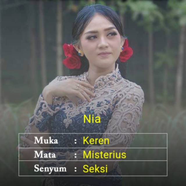 nia.nur.safitri.