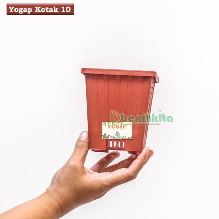 Pot Bunga Yogap Kotak 10