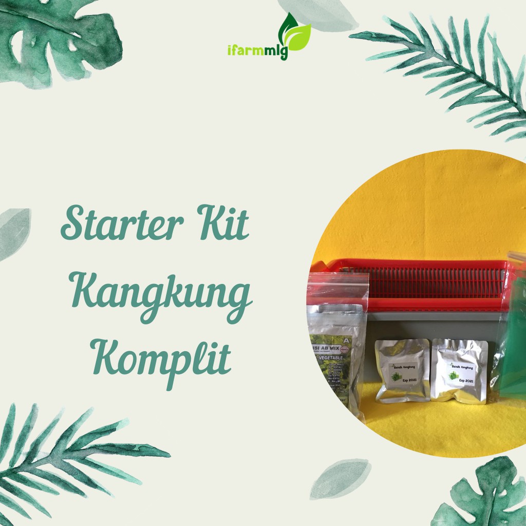 Kit Kangkung Hidroponik - Starter Kit Hidroponik Kangkung - Kangkung Hidroponik - Box Kangkung Paket