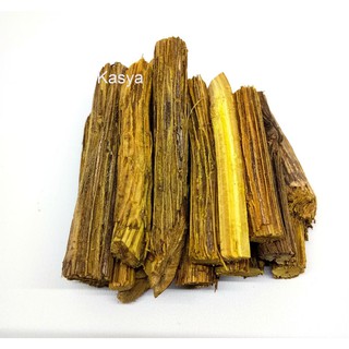  Akar Kayu  Kuning Asli Kalimantan Herbal Shopee Indonesia