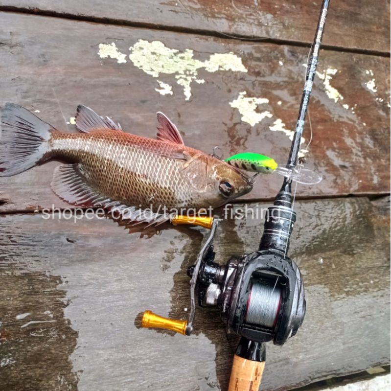 Minnow Blackbass Lidah Panjang 7,5gram - Umpan Casting Mangrove Jack Lure Muara