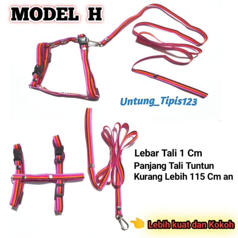 Harnes Kucing Anjing model H dan Y Tali Tuntun Paket Lengkap untuk hewan harness rompi