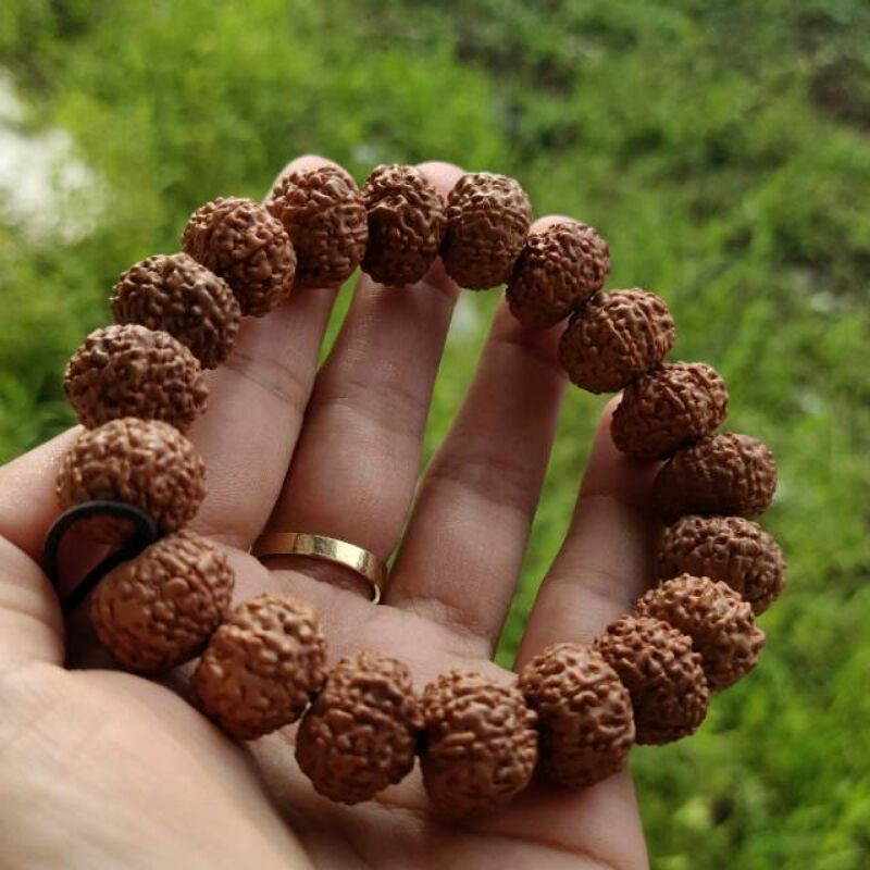Gelang Jenitri Mukhi 7 Original Rudraksha