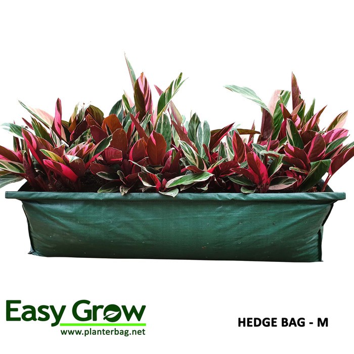 Hedge Planter Bag (Medium)