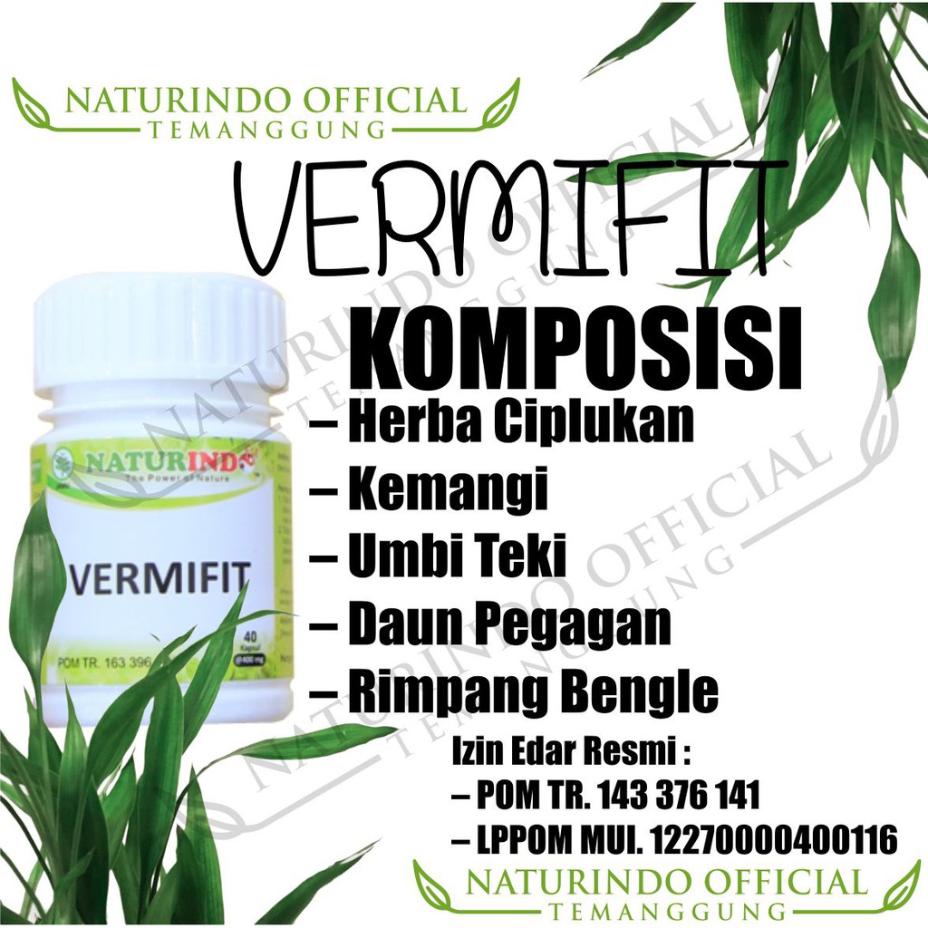 Obat Herbal Sakit kepala Ampuh menahun Herbal Vertigo migrain migren belakang ampuh herbal-1