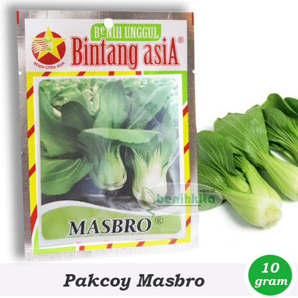 Benih-Bibit Sawi Pakcoy Masbro (Bintang Asia)