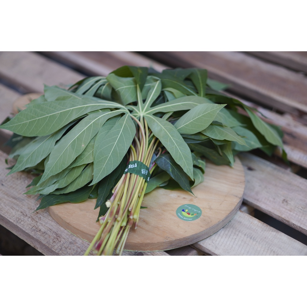 

Daun singkong 1 ikat (100-150 gr)