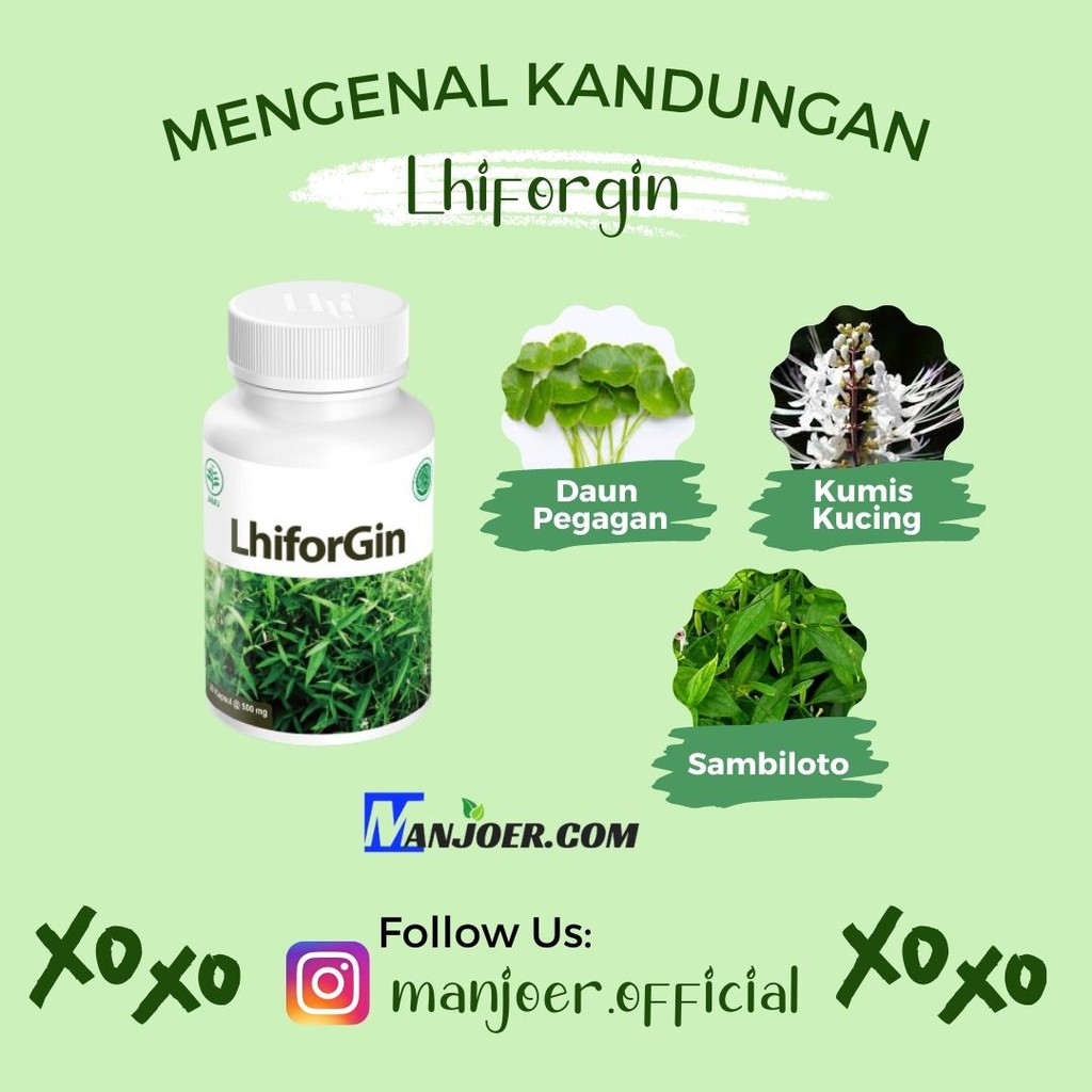 LHIFORGIN ORIGINAL BPOM OBAT BATU GINJAL RADANG GINJAL HERBAL OBAT KENCING BATU OBAT BATU EMPEDU