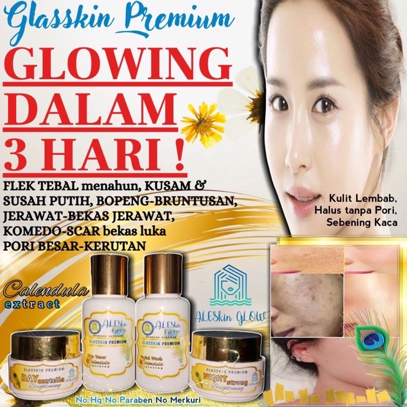 GLASSKIN PREMIUM ALESKIN GLOW Skincare Glowing-Paket Perawatan Wajah Korea-Cream Glowing-Cream Pemutih Wajah