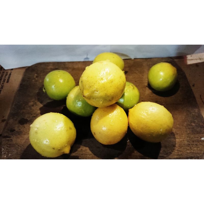 

Lemon lokal