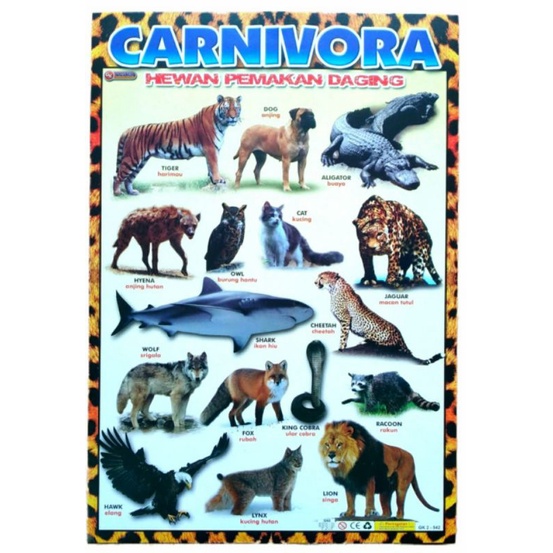 POSTER ANAK BELAJAR MENGENAL HEWAN CARNIVORA/PEMAKAN DAGING