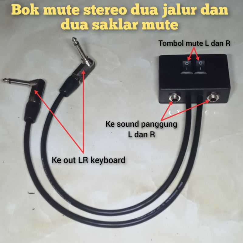 box mute stereo dengan dua saklar mute on off