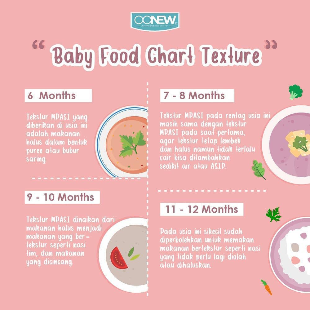 Castle - Digital Baby Food Processor Petite - Oonew Cooker Pemasak Bubur MPASI Bayi