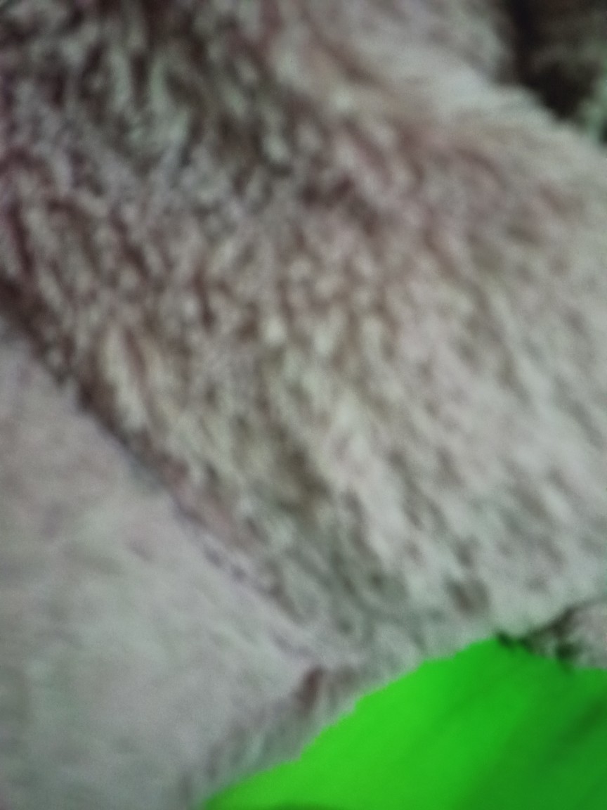 Kuas Cat Eterna 633 Ukuran Komplit