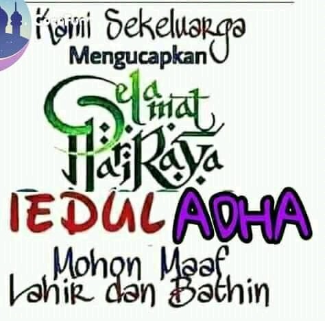 Lunch Box / Tempat Makan / Kotak Makan Sekat Clio Yokohama Per Buah