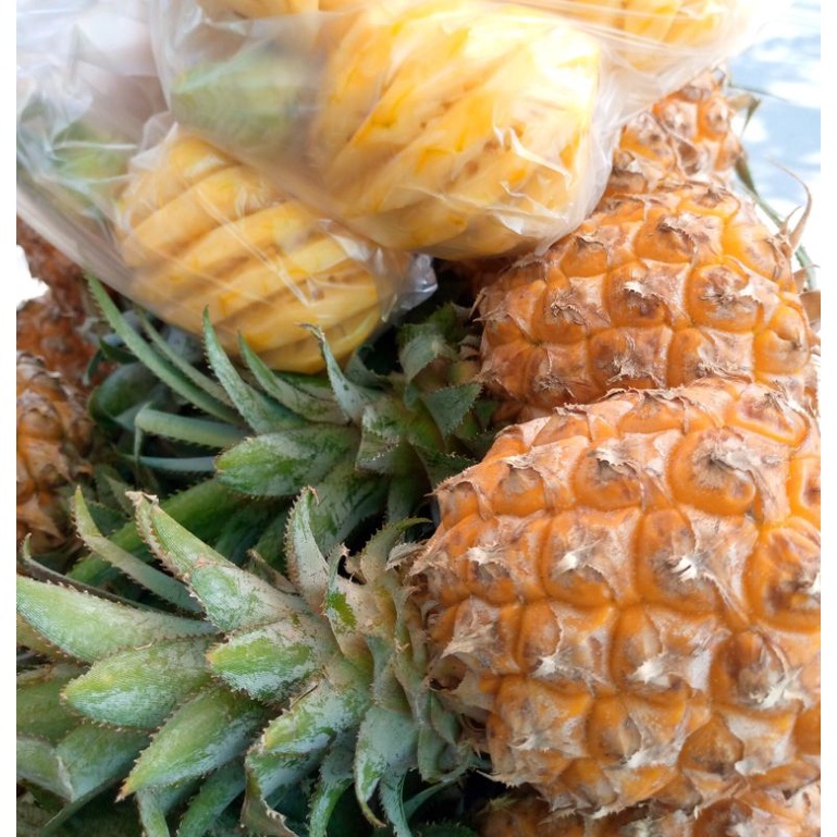 

NANAS MADU SUMEDANG MANIS ( BISA DIKUPAS )
