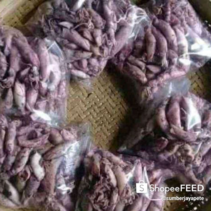 

ikan cumi asin kering segar 15gm